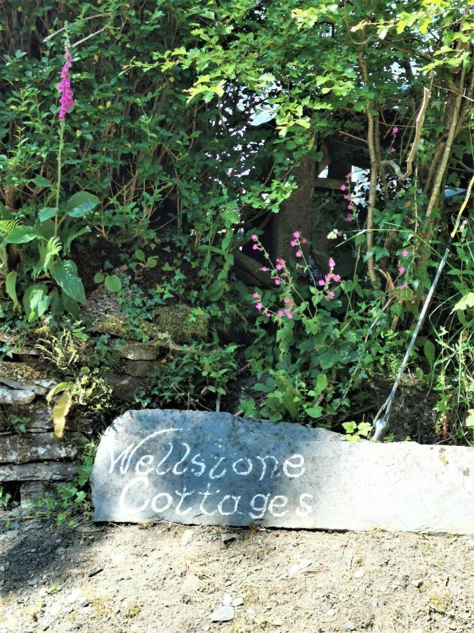 Wellstone Cottages - Honey Coach House Llanfyrnach Bagian luar foto